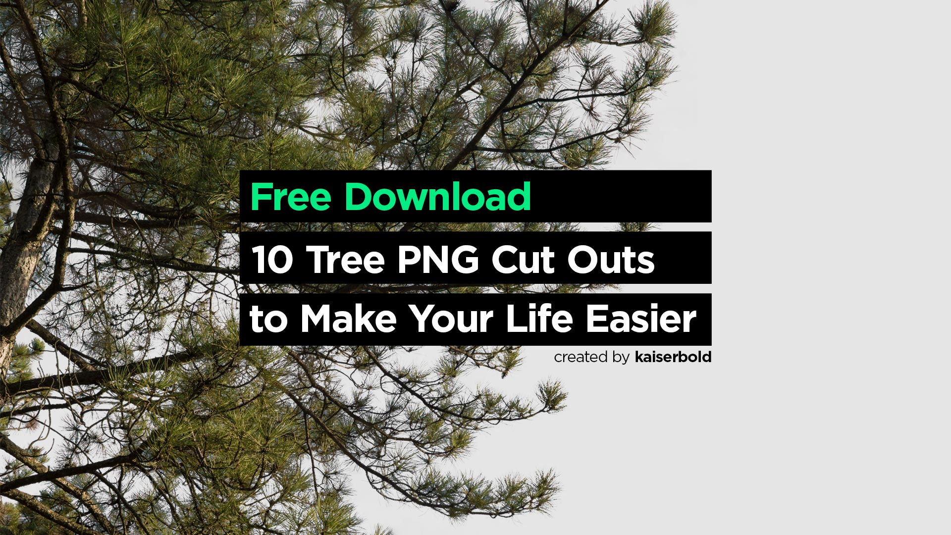 10 Tree Png Cut Outs To Make Your Life Easier Free Download